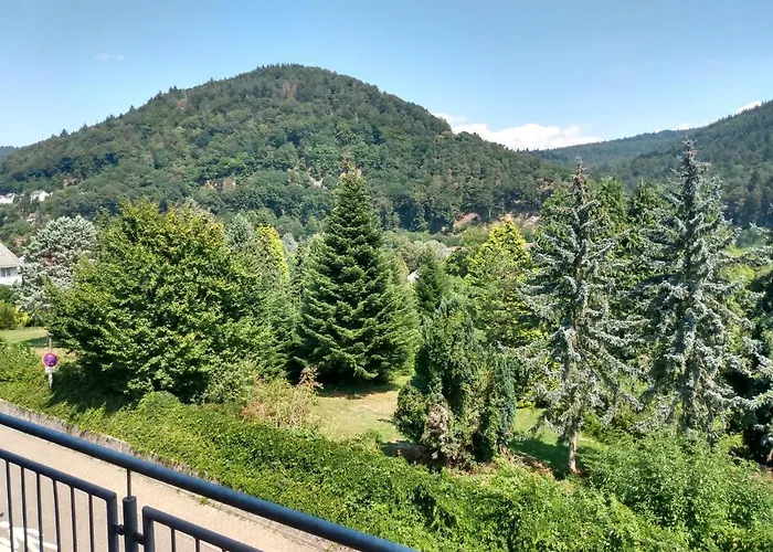 Hotel Zum Neckartal Heidelberg