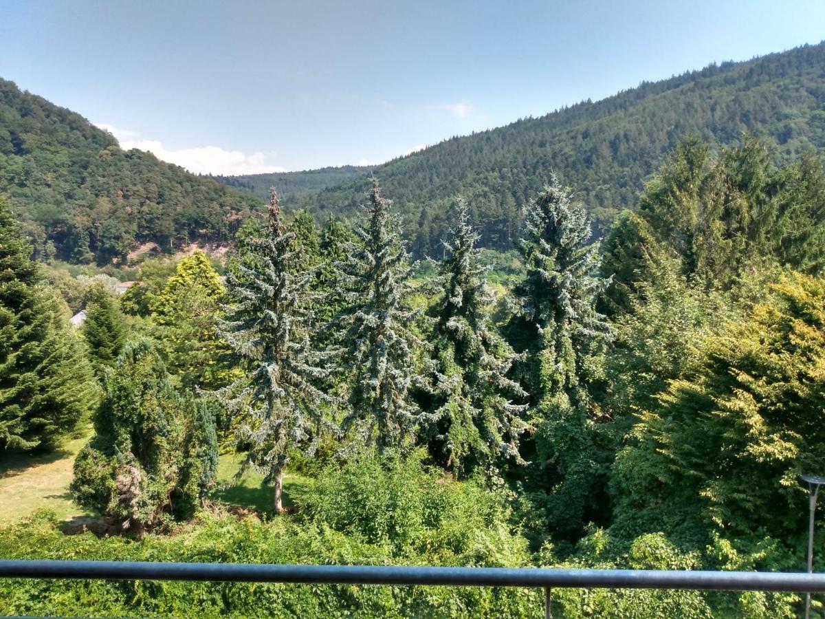 Zum Neckartal Heidelberg